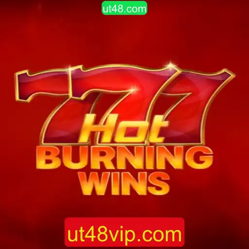 Descubra o Fascinante Mundo de HotBurningWins